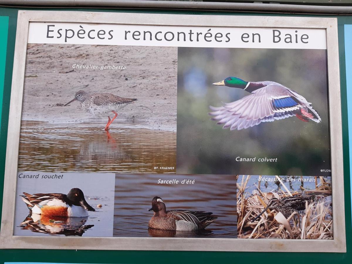 Apartamento L îlot De La Baie, Super 4p Face à La Mer, Parking Gratuit, Wifi, Classé 2 étoiles à Mahon Plage, Baie De Somme