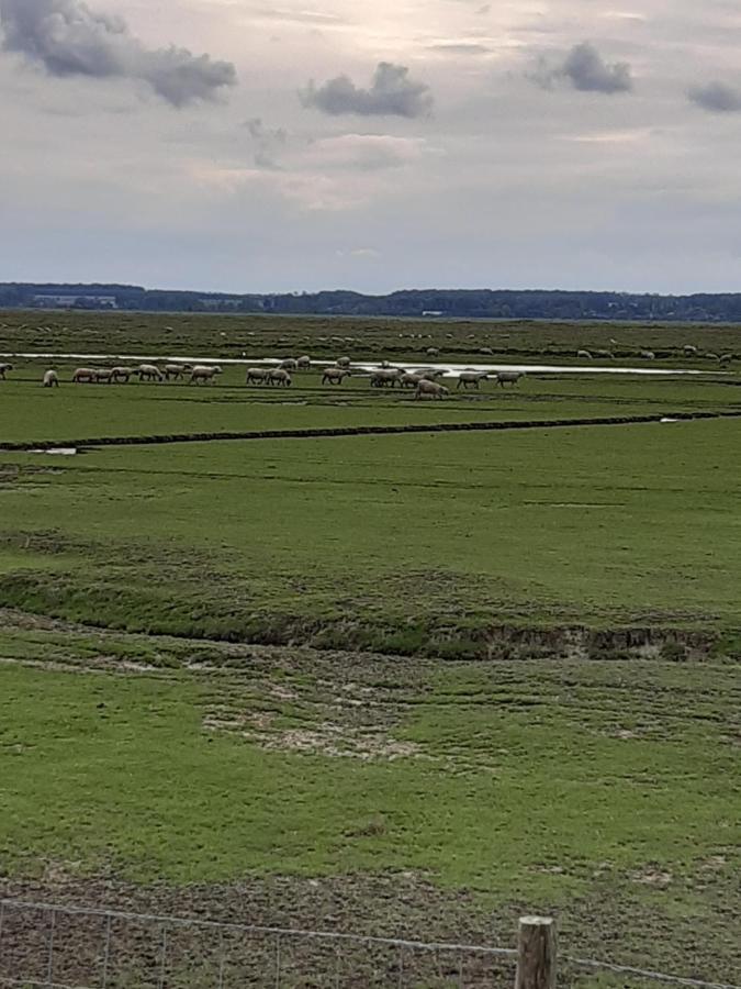 L îlot De La Baie, Super 4p Face à La Mer, Parking Gratuit, Wifi, Classé 2 étoiles à Mahon Plage, Baie De Somme Appartement *